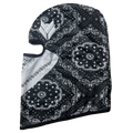WNSD CHARTER MASK image 0